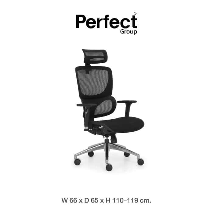 เก้าอี้ทำงานเพื่อสุขภาพ Perfect รุ่น 101DF สีดำ